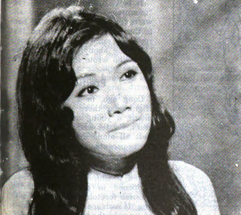 Nine Vietnamese Films Worth Your Weekend: A Streaming Map for the Curious American Viewer